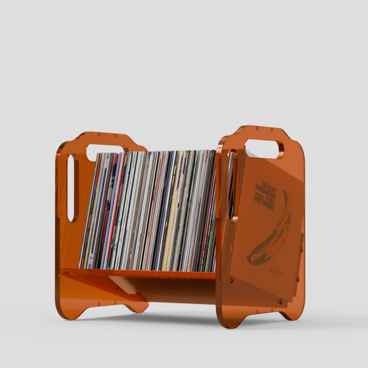 Vinyl Record Storage