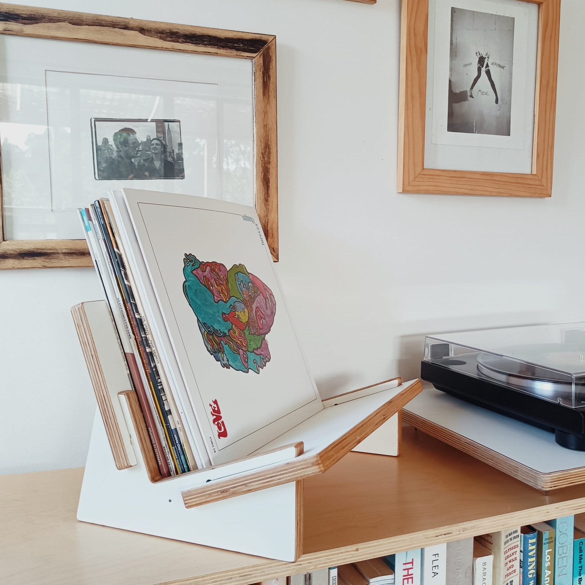 Vinyl Record Display